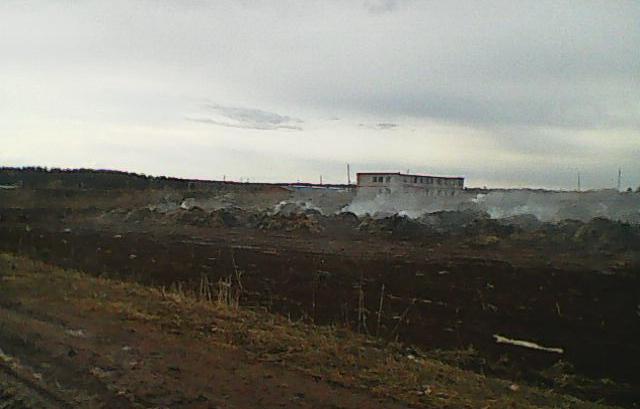 В Пермском крае школьницы сожгли ферму ради ролика в TikTok