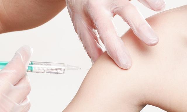 В Прикамье приостановлена вакцинация детей против клещевого энцефалита