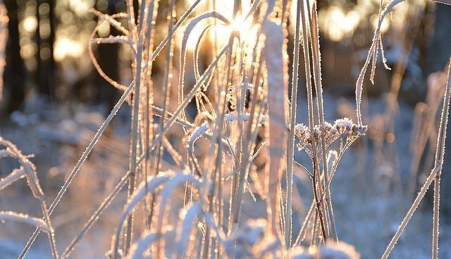 В выходные в Пермском крае ожидается похолодание до -12 градусов