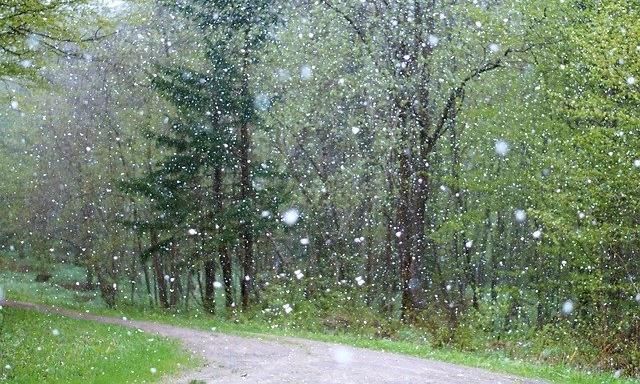 В выходные в Пермском крае ожидается прохладная погода и осадки