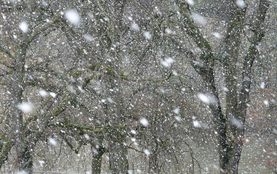 МЧС: В Пермском крае сегодня пройдет сильный снег при ветре до 17 метров в секунду