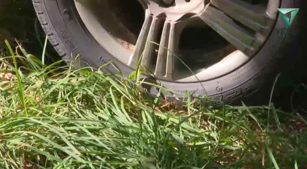 Пермские депутаты утвердили виды и высоту травы на газонах в городе
