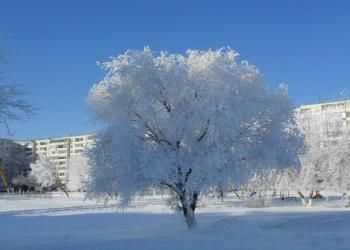 В Прикамье ожидается резкое похолодание