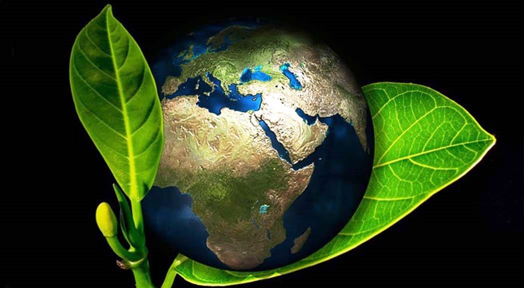 Пермь присоединится к всемирной акции «Час Земли»