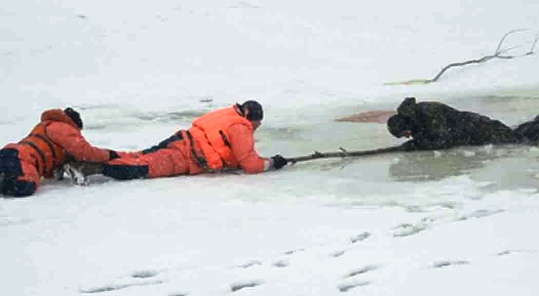 В Пермском районе три рыбака провалились под лед, один погиб‍