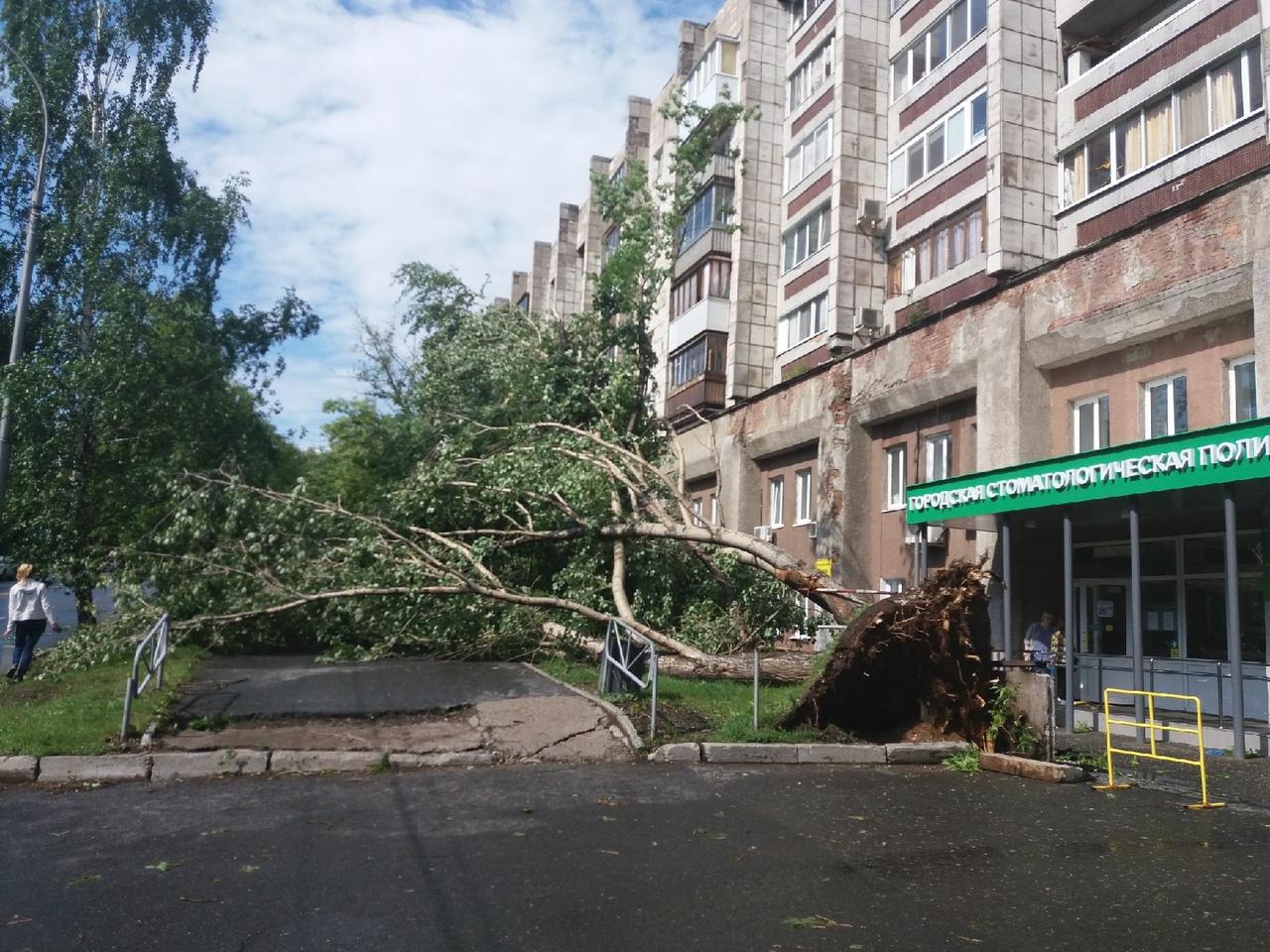 В Перми устраняют последствия сильной грозы со шквалистым ветром
