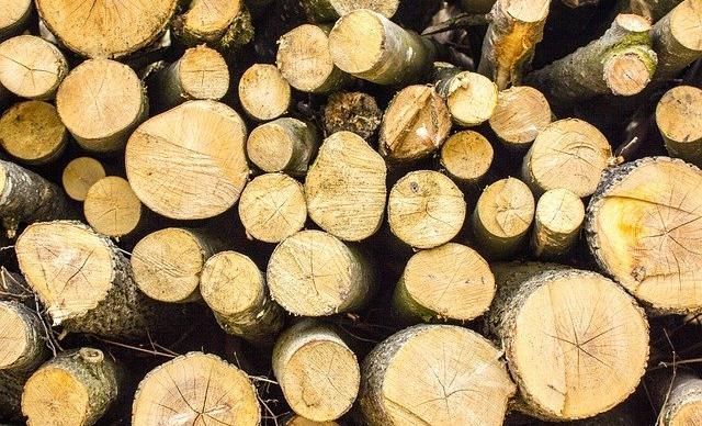 Двух жителей Пермского края осудили за незаконную рубку 6 тысяч деревьев