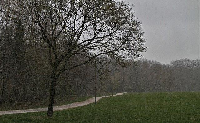 МЧС предупредило жителей о сильном дожде в Прикамье