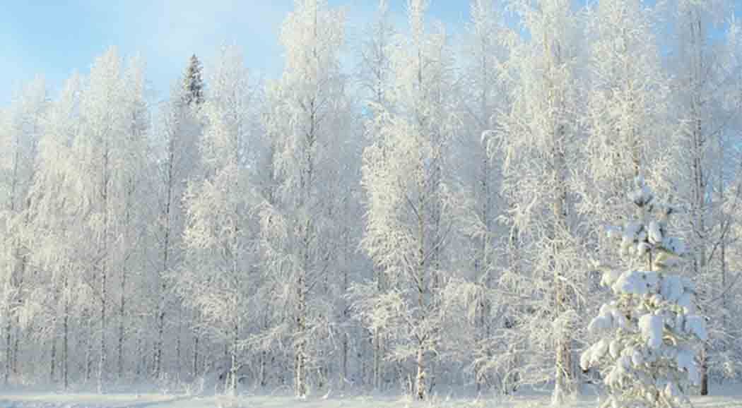 22 февраля в Пермский край придет похолодание