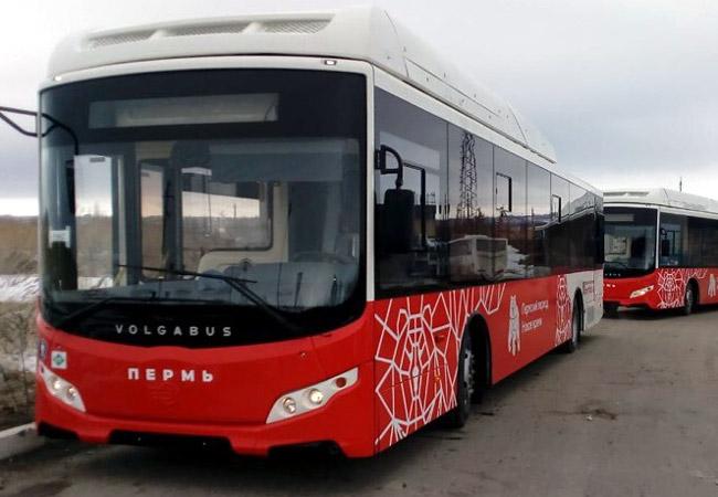 Еще три автобусных маршрута с бесплатной пересадкой появились в Перми