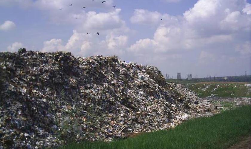 В Пермском крае птицефабрика ликвидировала свалку мусора в 10 тысяч кв. м