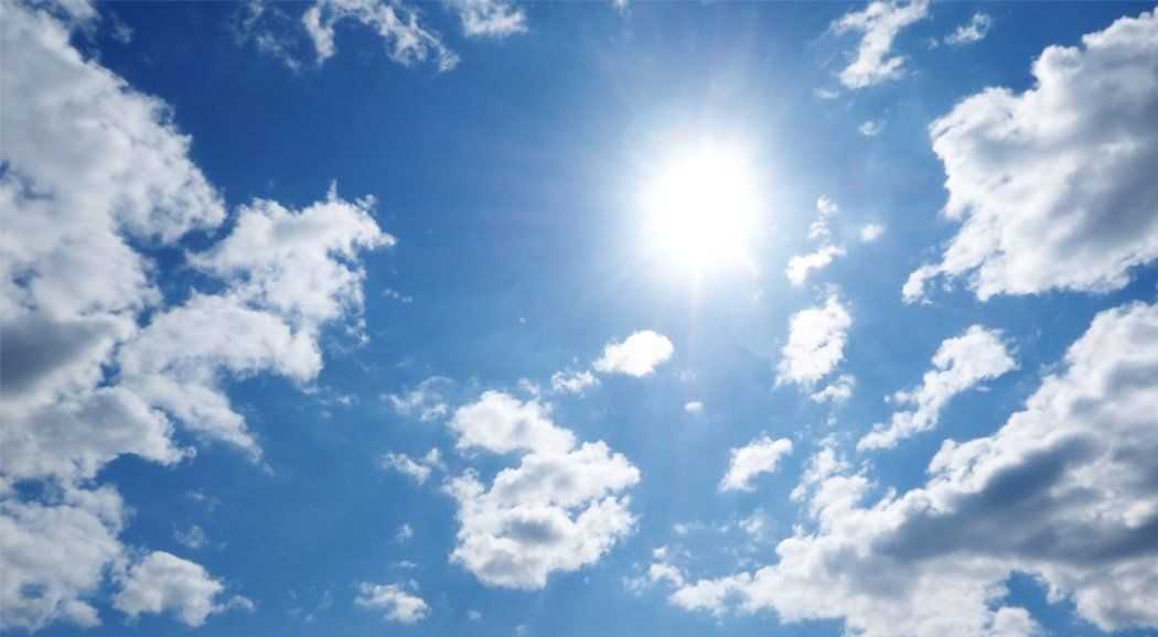 Первые выходные июля будут солнечными и теплыми в Перми