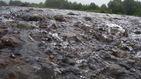 Дождевой паводок в Прикамье пошел на спад