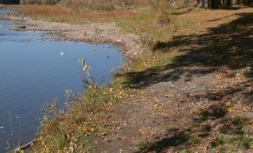 В Пермском крае в реке Сосновка утонул мужчина