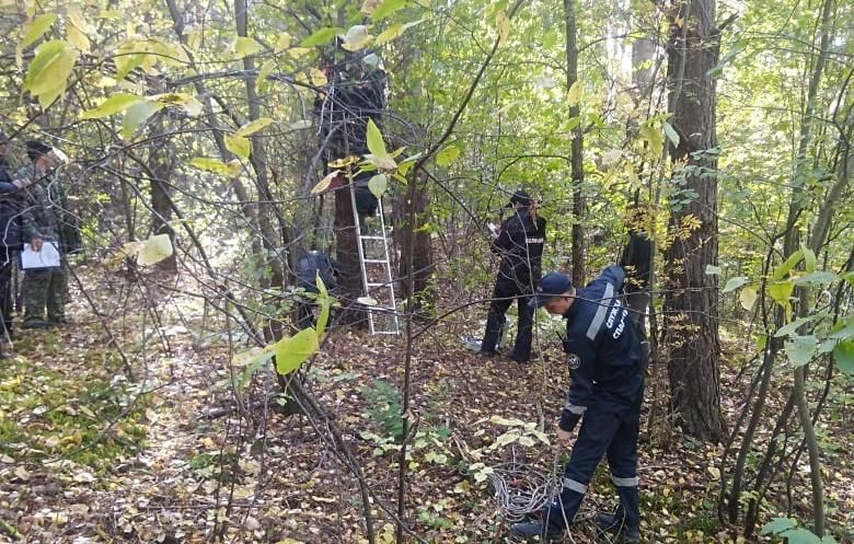 В Кунгуре в лесу нашли тело пропавшего 23-летнего парня