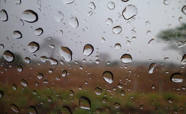 На неделе в Прикамье ожидается прохладная погода с дождями