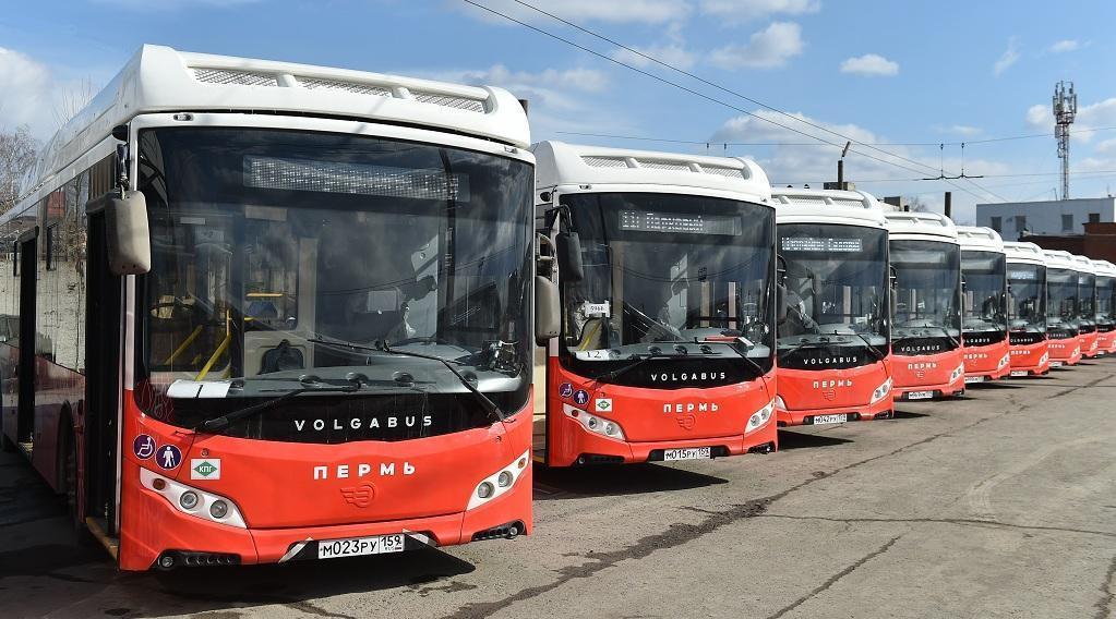 На маршрутах №3 и №7 добавили количество автобусов