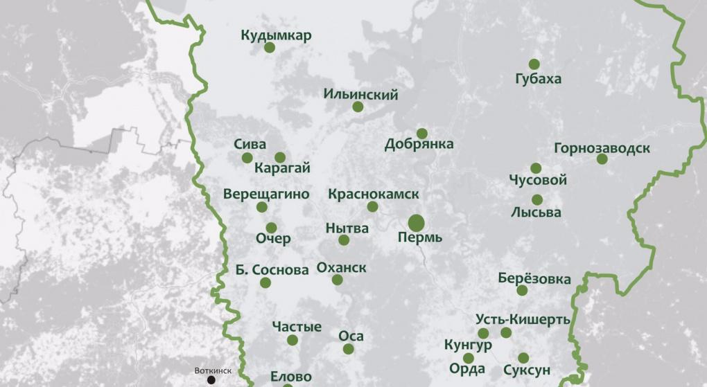 В Пермском крае за сутки коронавирус COVID-19 зафиксирован в 30 муниципалитетах