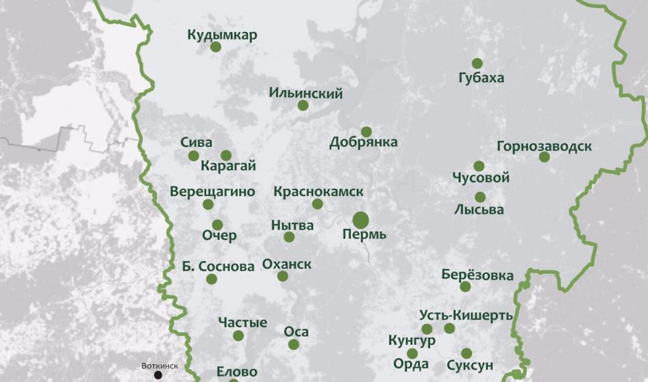 В Пермском крае за сутки коронавирус COVID-19 зафиксирован в 28 муниципалитетах