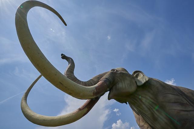 Пермяков пригласили на бардоперу "Трогонтериевый слон - суперкости"