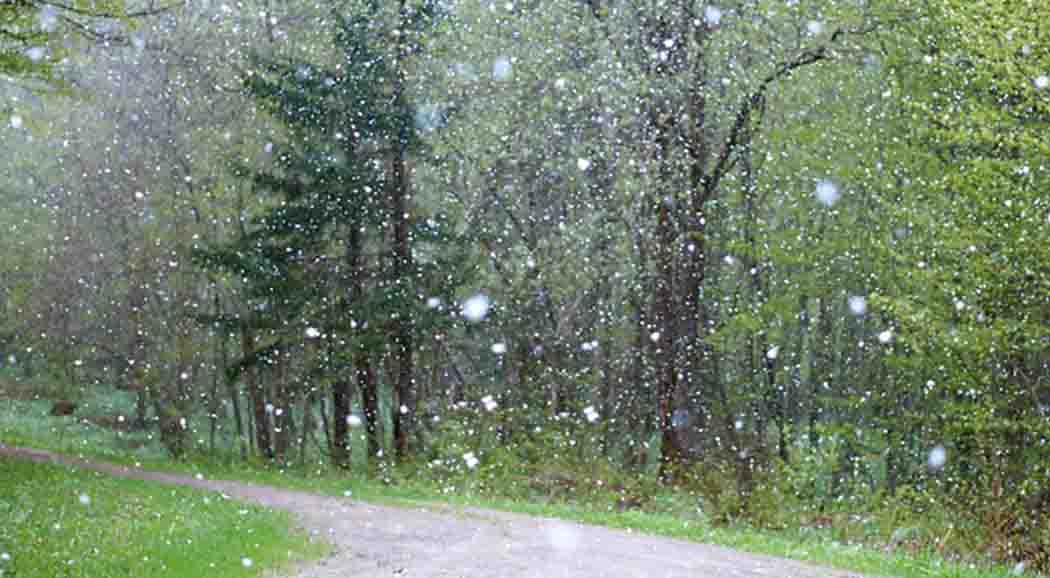 МЧС предупредило о мокром снеге с дождем в Пермском крае