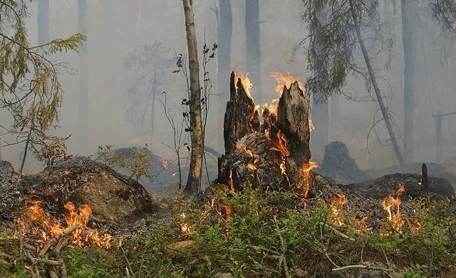 В Пермском крае сохраняется чрезвычайно высокая пожарная опасность