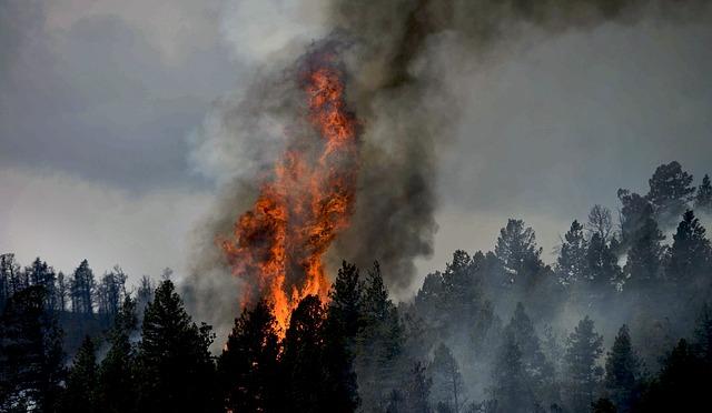 МЧС: 15 июня в Пермском крае сохранится высокая пожарная опасность