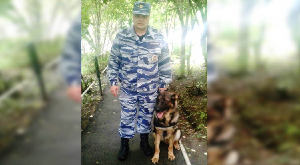 В Прикамье полицейские нашли заблудившихся в лесу мать и дочь