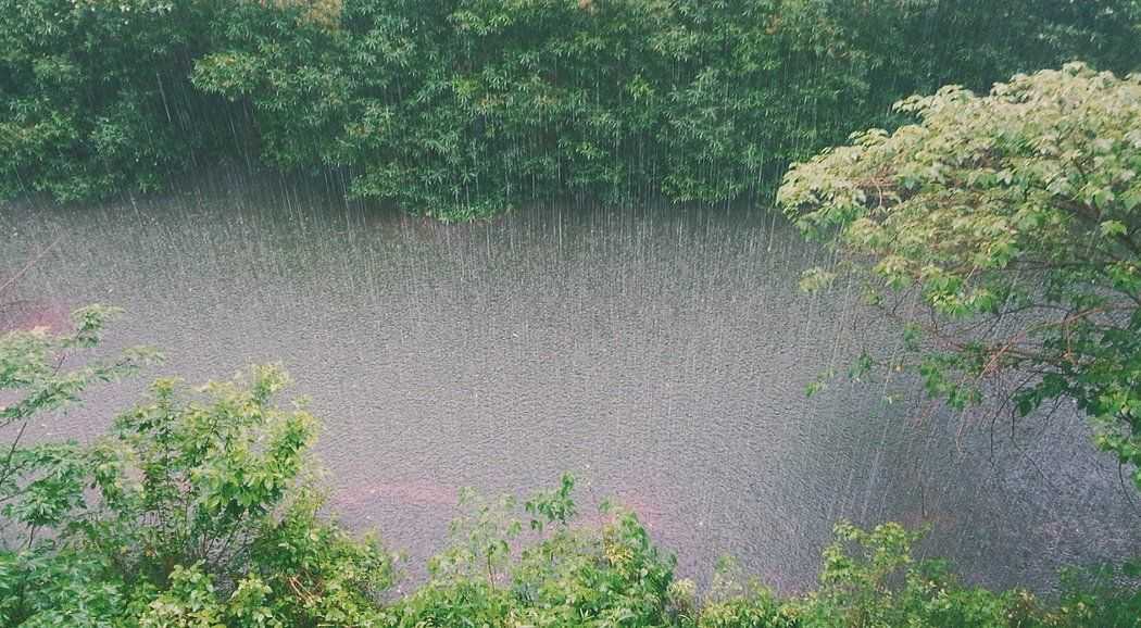 МЧС предупреждает: проливные дожди, грозы, град и сильный ветер