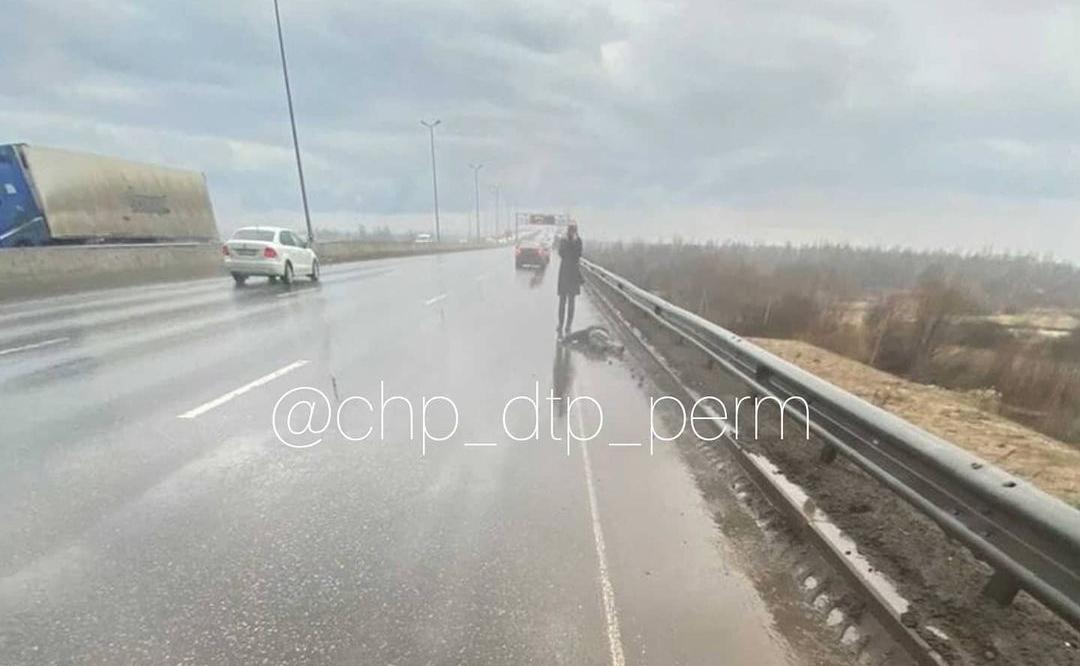 В Перми задержан водитель, насмерть сбивший мужчину на Красавинском мосту