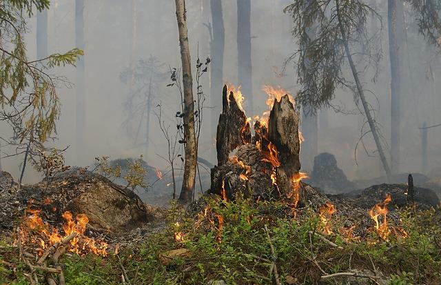 В Пермском крае 19 апреля начался пожароопасный сезон