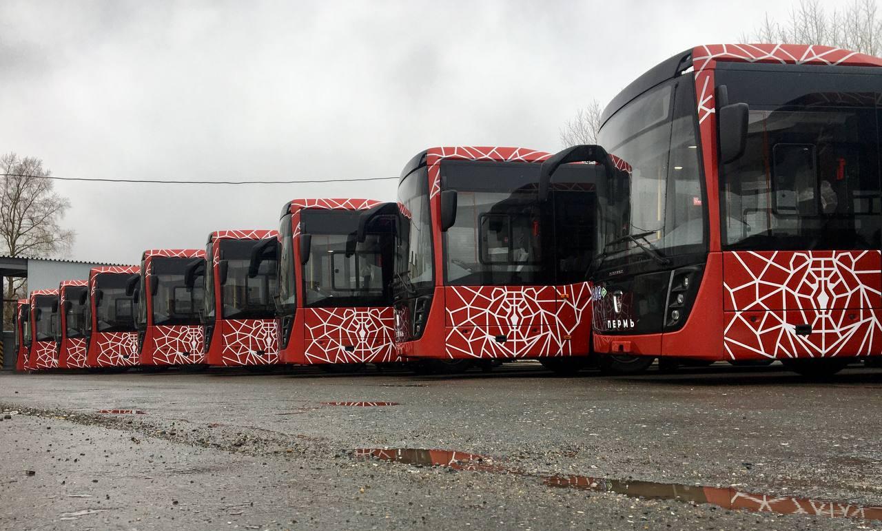В Пермь с опережением сроков поступило еще 20 новых автобусов