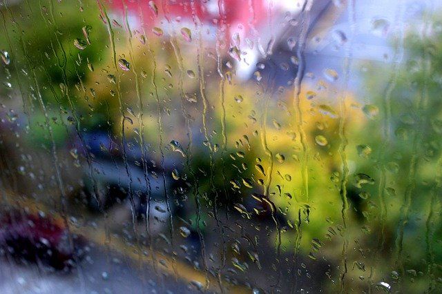 МЧС предупреждает жителей Пермского края о дождях и сильном ветре