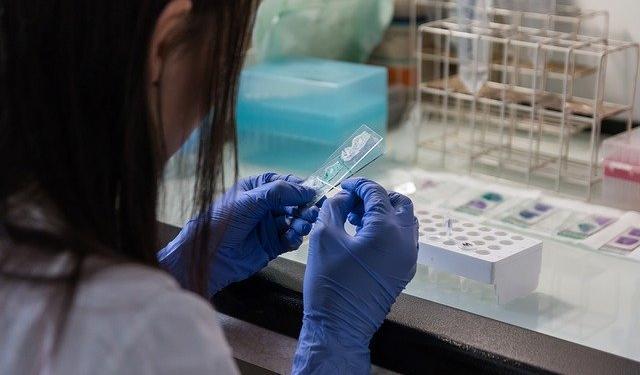 В Прикамье за сутки не выявили новых случаев заражения коронавирусом