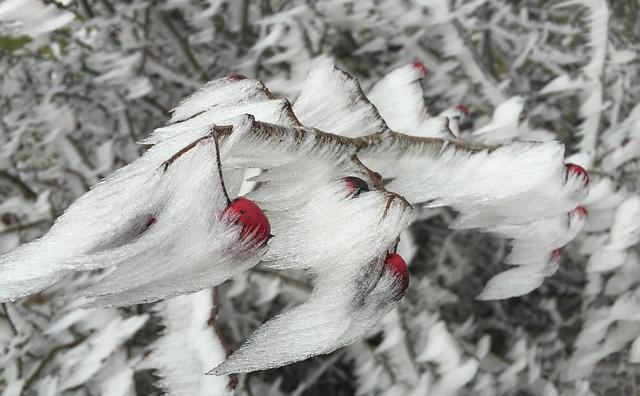 МЧС предупредило о ледяном дожде и снеге в Прикамье