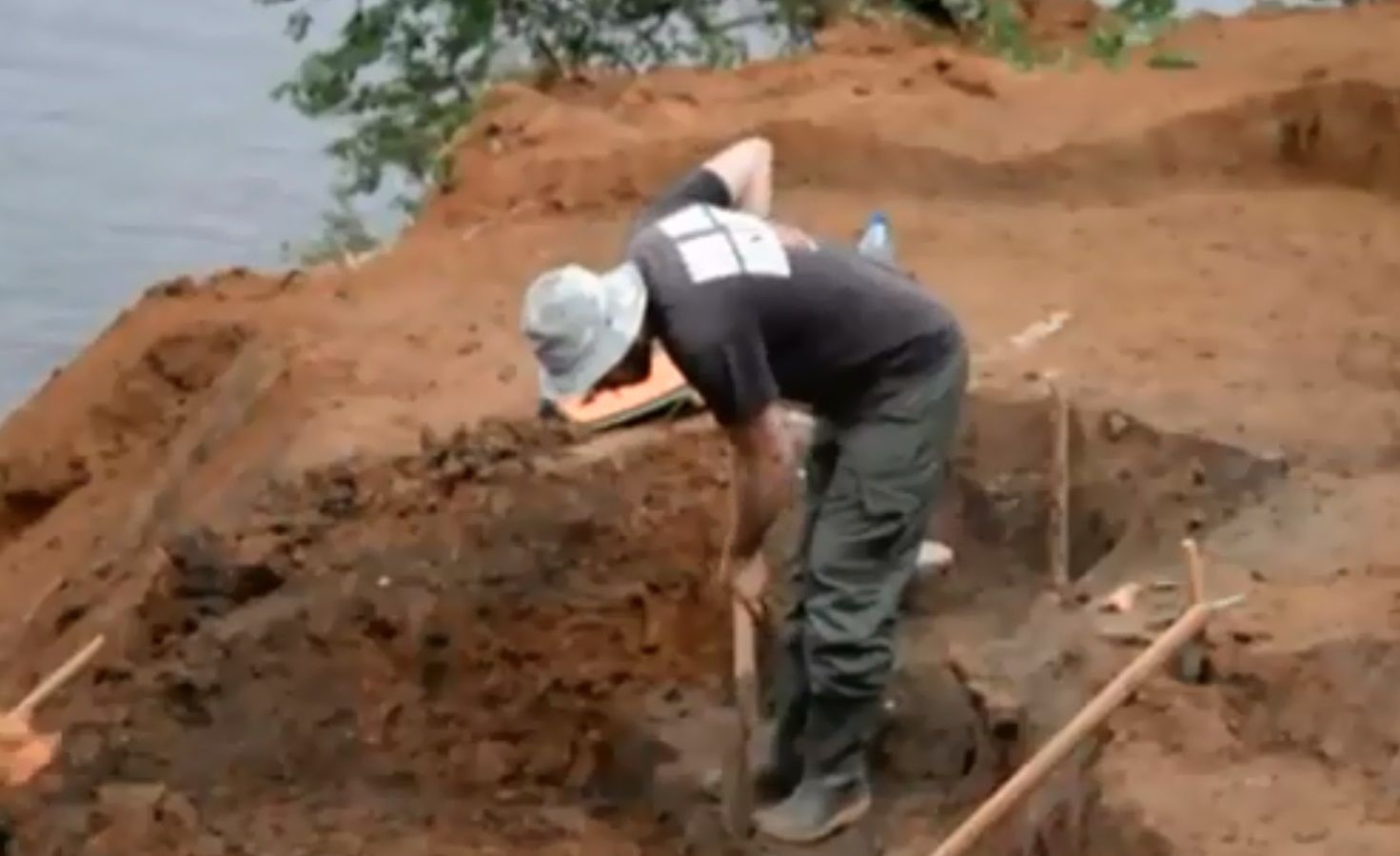 В Пермском крае завершились раскопки трогонтериевого слона