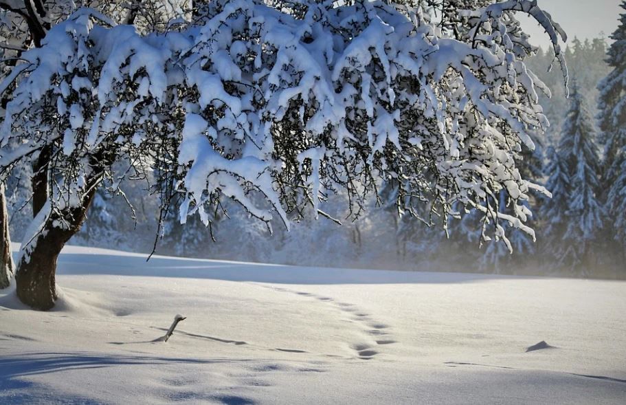 В Пермском крае морозы сменятся потеплением до 0 градусов и снегопадами