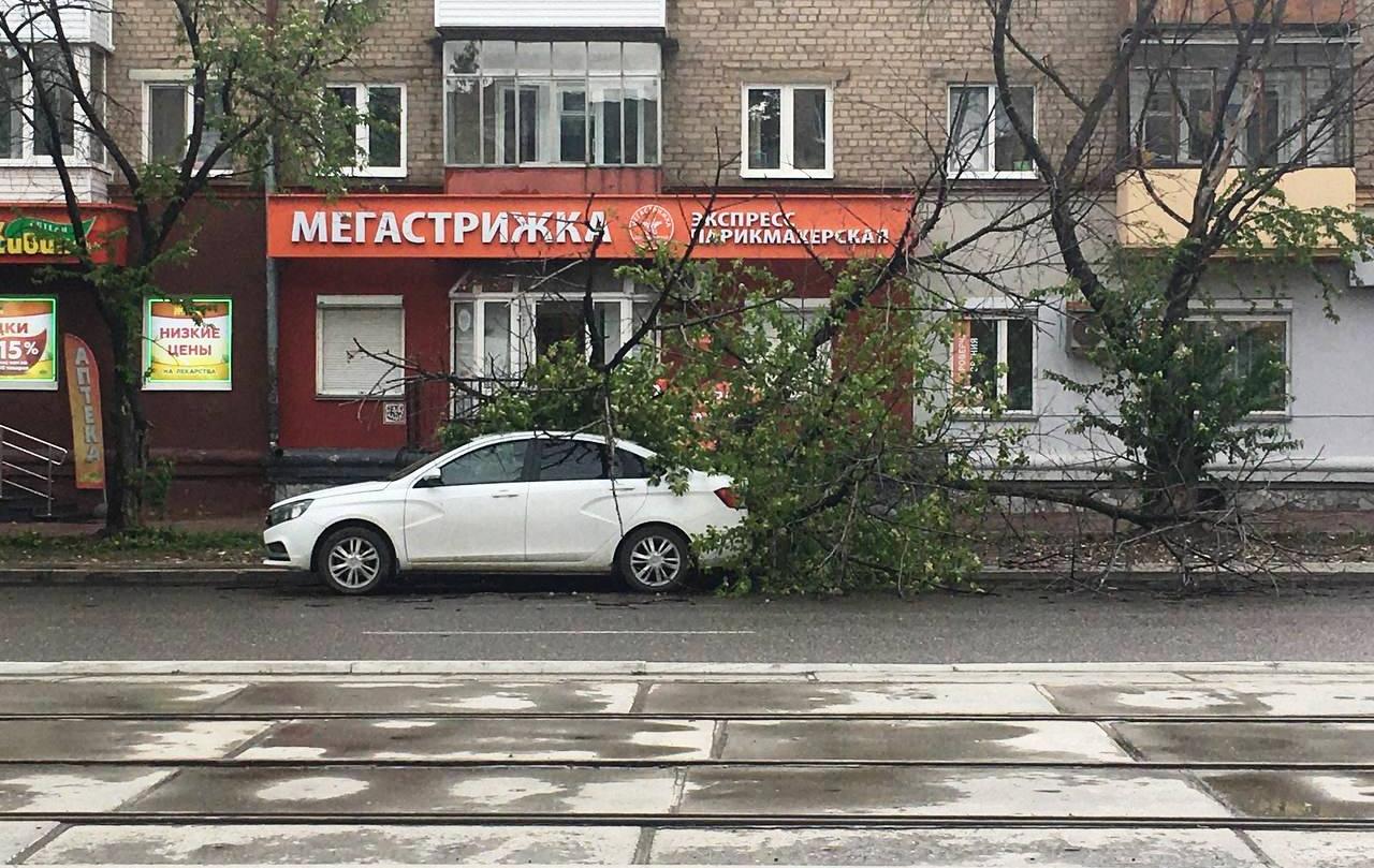 МЧС предупреждает о сильном ветре в Пермском крае 25 сентября
