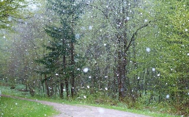 В Пермском крае 18 сентября выпал первый снег