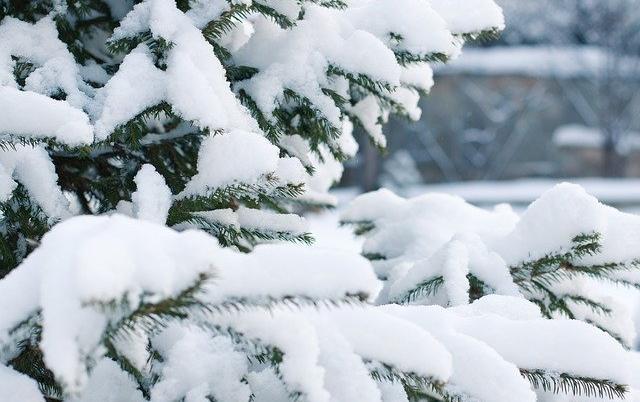 В Пермском крае ожидаются сильные снегопады и потепление 