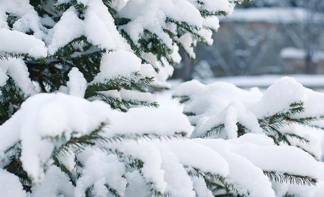МЧС Прикамья предупреждает о сильном снеге и гололедице
