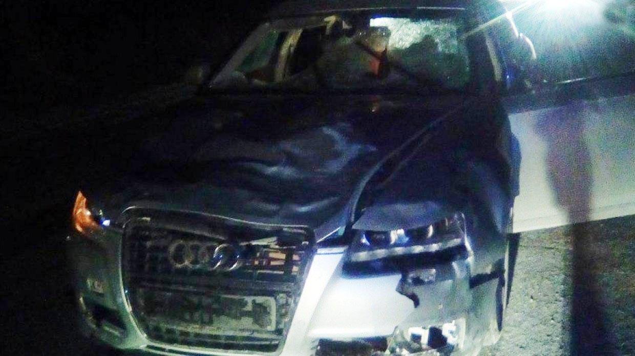 В Пермском крае под колесами Audi погибли три пешехода