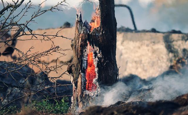 МЧС предупреждает жителей о высокой пожарной опасности в Пермском крае с 22 июня
