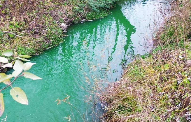 Зеленые реки: в Перми прокурор нашел нарушения в работе ресурсоснабжающей организации