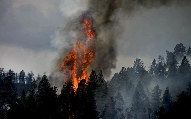 В Пермском крае произошел крупный лесной пожар