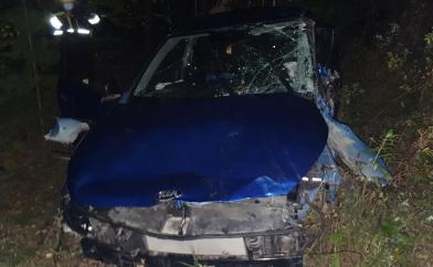 В Пермском крае на трассе водитель иномарки погиб в ДТП