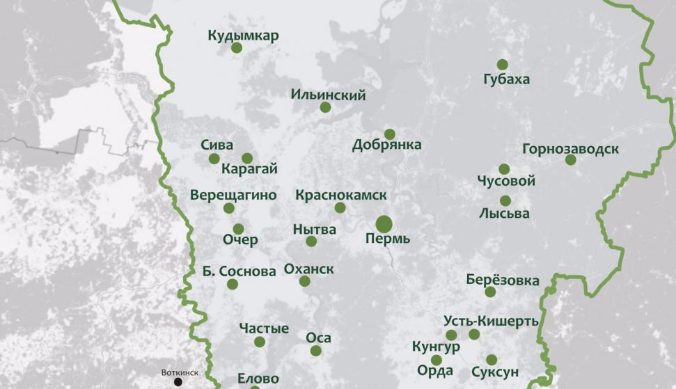В Пермском крае за сутки COVID-19 выявили в 13 территориях
