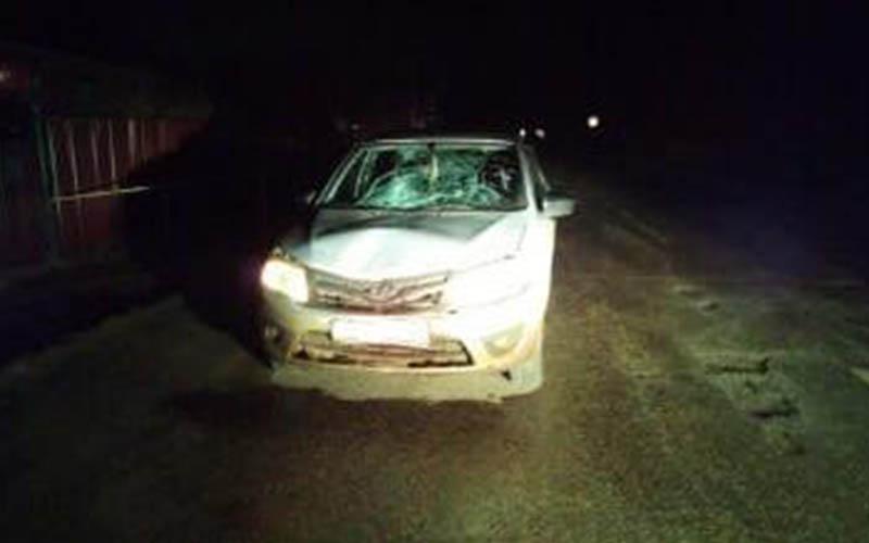 В Прикамье пьяный водитель получил 6 лет колонии за смерть пешехода