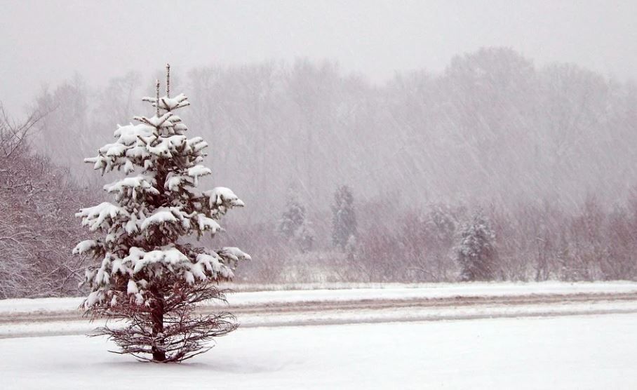 МЧС предупреждает о сильном снеге в Пермском крае 2 января