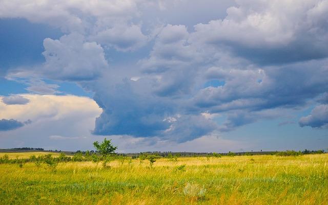 Теплая погода с дождями установится в выходные в Пермском крае